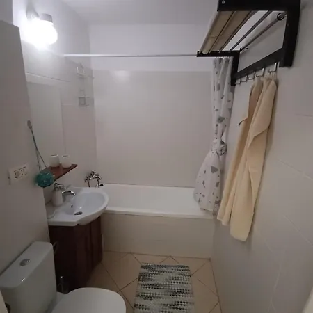 Ariana Apartment Timisoara