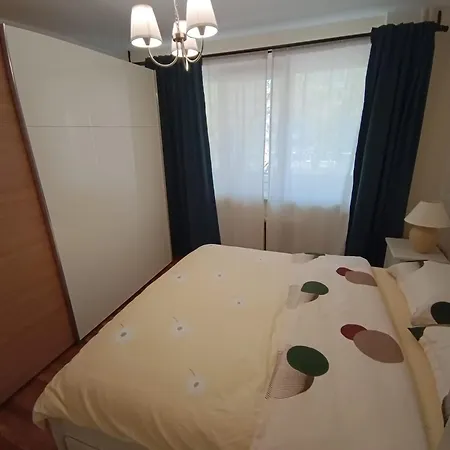 Ariana Timisoara