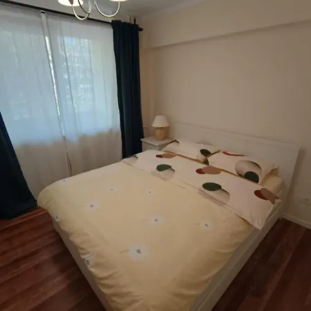 Ariana Timisoara