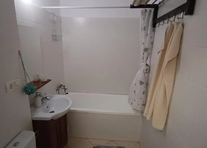 Ariana Apartment Timisoara